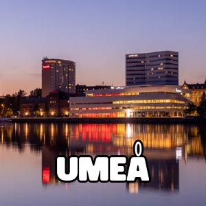 Escort Umeå