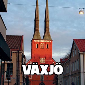 Escort Växjö